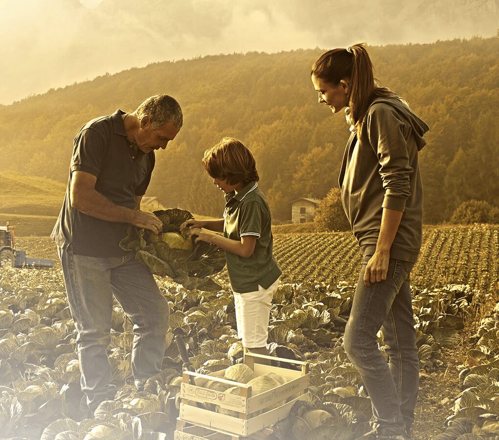 Familia agricultora cosechando